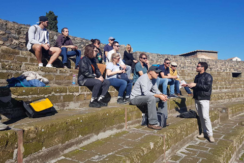 Tour privato saltafila di Pompei ed Ercolano con biglietto