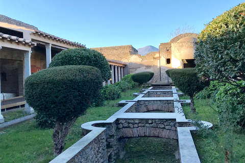 Pompeii &amp; Herculaneum Private Skip-the-Line Tour with Ticket