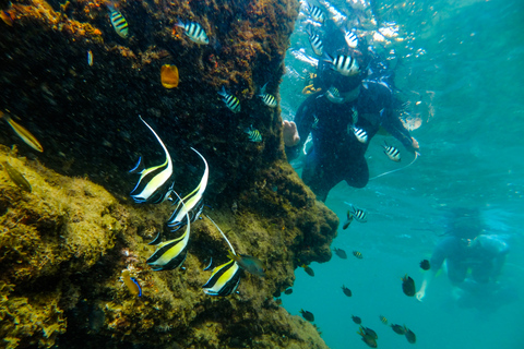 Santa Lúcia: aventura de mergulho com snorkel no Cabo Vidal