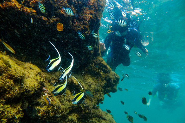 Saint Lucia: snorkelavontuur Cape Vidal