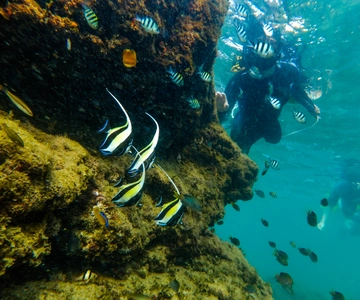 St. Lucia: Cape Vidal Snorkeling Adventure