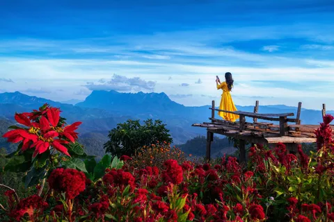 Chiang Mai: Minivan Rental with Driver to Doi Chiang Dao