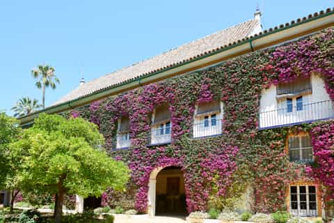 seville las dueñas palace ticket and audioguide