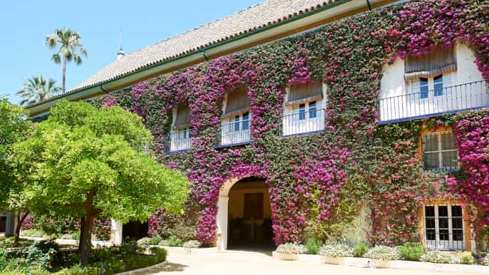 seville las dueñas palace ticket and audioguide