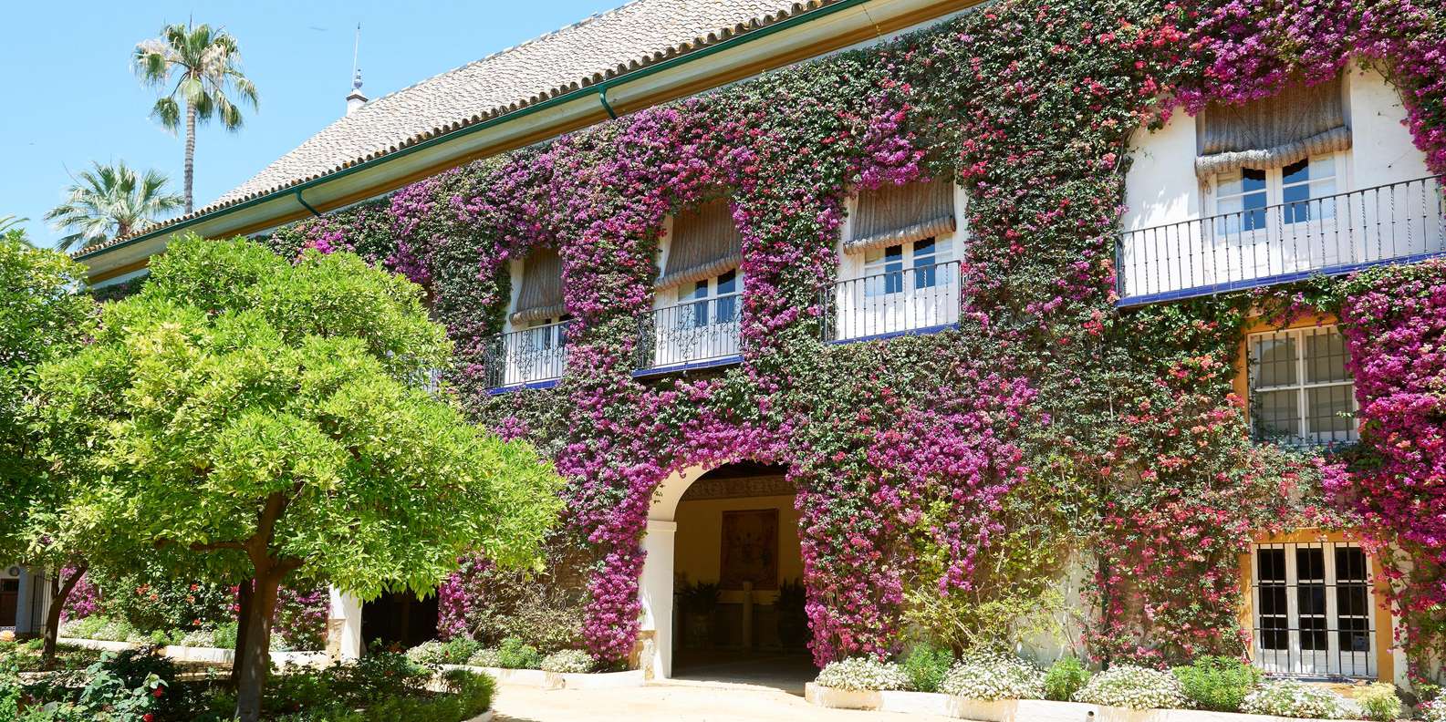 Las Dueñas Palace Entry Ticket and APP Guide