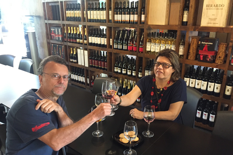 Degustação de vinhos - excursão particular de meio diaDegustação de vinhos Tour privado de meio dia