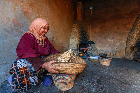 Day Trip To Essaouira From Marrakech With Guide