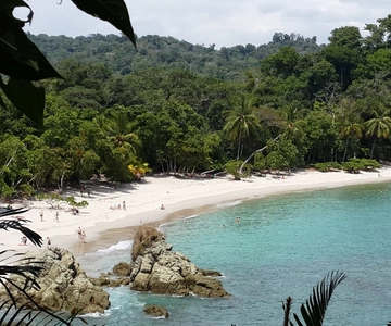 Manuel Antonio National Park Combo Tour from San Jose