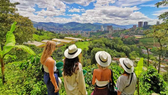 medellín halfday coffee plantation tour
