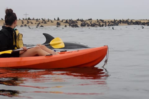 Kayaking and Sandwich Harbour Combo Tour