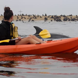 Kayaking and Sandwich Harbour Combo Tour