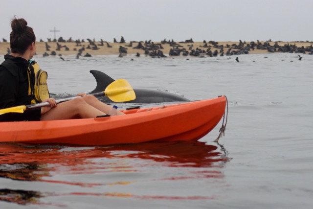Visit Kayaking and Sandwich Harbour Combo Tour in Swakopmund
