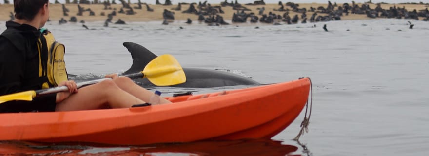 Visite combinée en kayak parmi les phoques et Sandwich Harbour