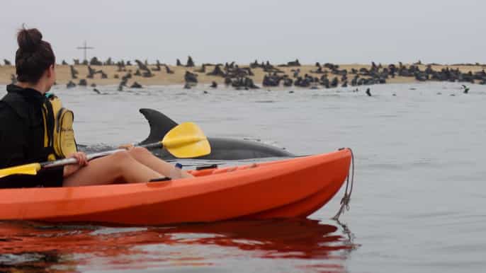 kayaking and sandwich harbour combo tour