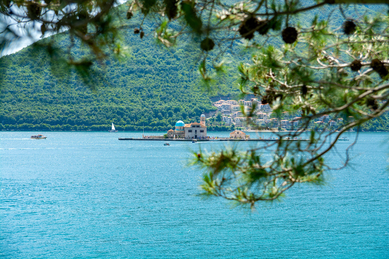 Kotor: tour turístico en autobús con paradas libres y tour a pieKotor: autobús turístico con paradas libres y recorrido a pie