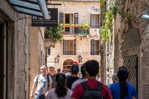 Kotor: tour turístico en autobús con paradas libres y tour a pieKotor: autobús turístico con paradas libres y recorrido a pie