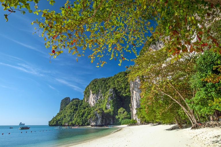 Hong Island Half-Day Long-Tail Boat Tour from Koh Yao Noi