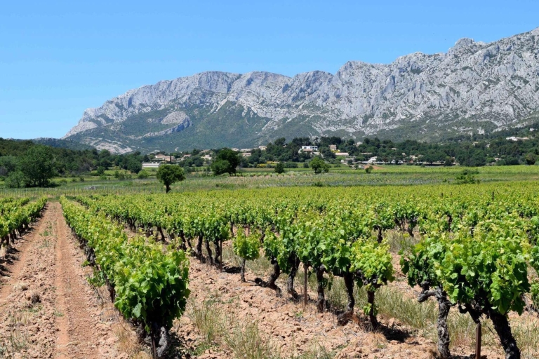 Privédagtocht naar de Provence en lavendelveldenVanuit Nice: Dagtocht naar de Provence