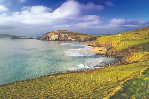 De Dublin: 3 dias em Dingle, Killarney e a Wild Atlantic WayDingle de 3 dias, Killarney e Wild Atlantic Way - B&amp;B Twin