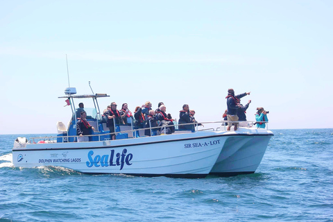 Lagos: Passeio de barco para observação de golfinhos com biólogos marinhos