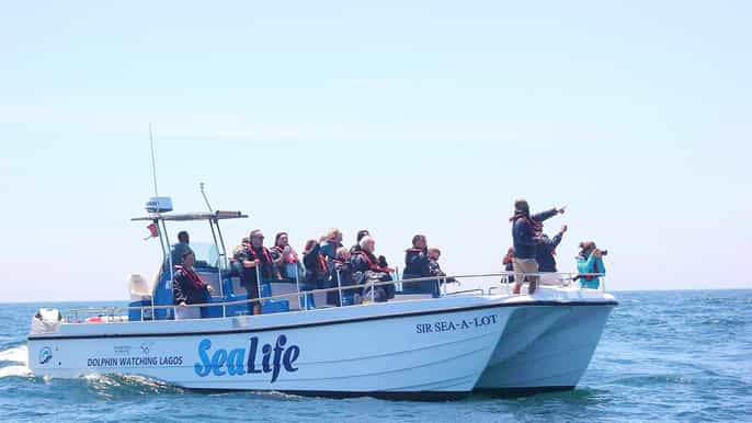 lagos dolphin watching with marine biologists