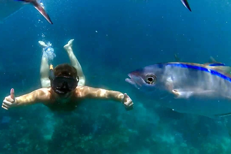 Private: Punta Cana Catalina Island Altos de Chavón Day Trip