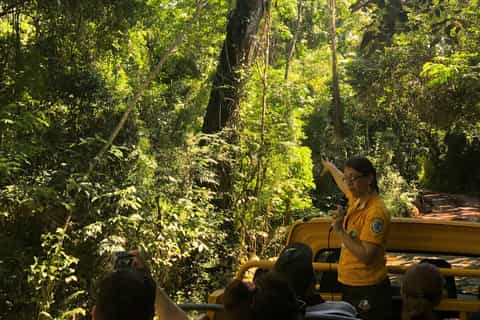 Iguazu Falls: Gran Aventura Boat and Argentinian Falls Tour