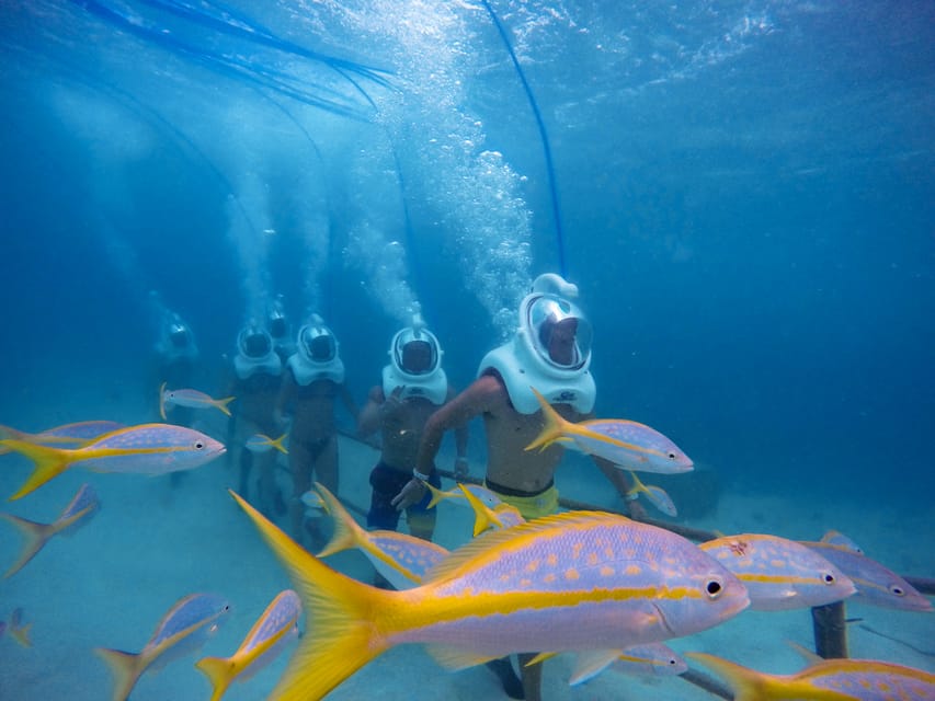 A group in diving helmets walking underwater, yellow fish swimming in the foreground