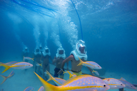 Aruba: Dagsutflykt till De Palm IslandAruba: Dagstur till De Palm Island utan transport