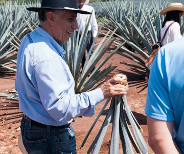 De Guadalajara: Pirâmides e excursão à Tequila Jose Cuervo