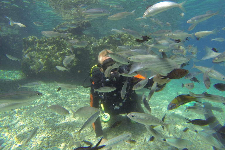 Marmaris: Beginner-Friendly Scuba Diving Tour Marmaris: Scuba Diving Without Hotel Transfer