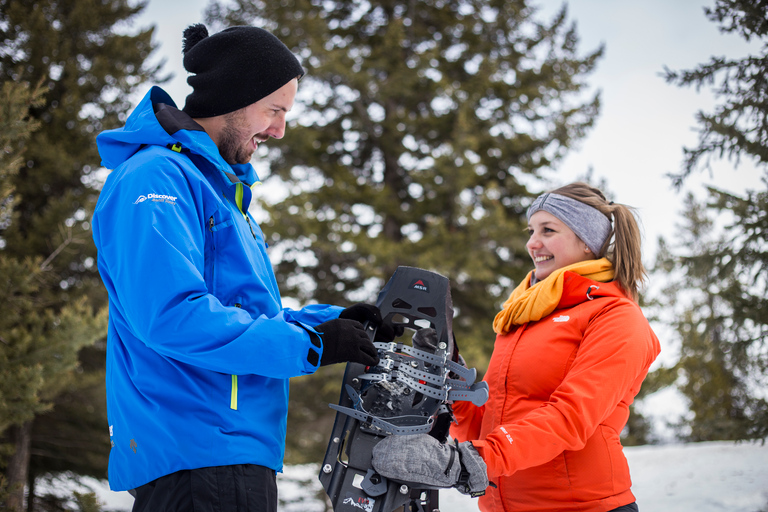 Van Banff: sneeuwschoenwandeling in Kootenay National Park