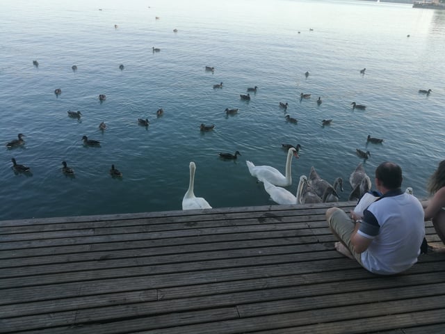 Budapest : Lac Balaton et Porcelaine de Herend (visite privée d&#039;une journée)