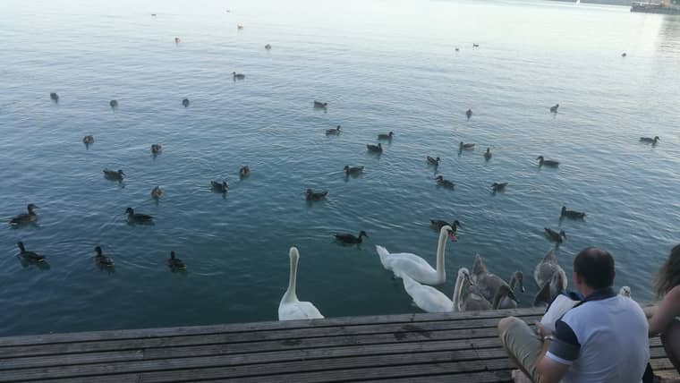 Best Activities in Veszprém