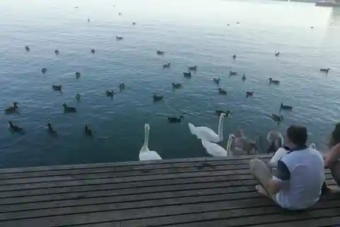 Budapeste: Lago Balaton e Porcelana Herend Tour particular de um dia