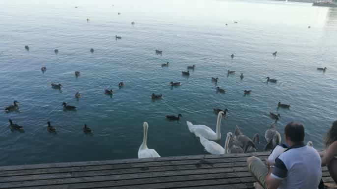 budapest lake balaton herend porcelain private day tour