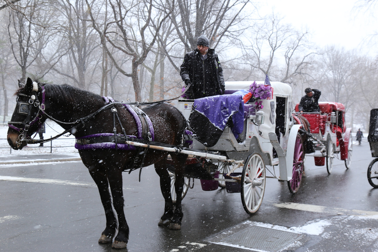 New York City: met de paardenkoets door Central Park