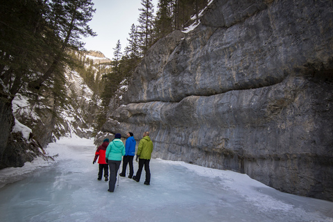 Banff: promenade sur glace dans le canyon de la grotte