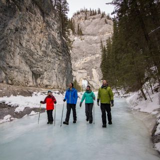 Banff: Grotto Canyon Icewalk