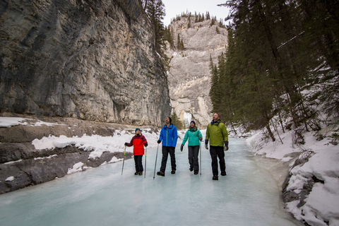 Banff: Paseo sobre hielo en el Cañón Grotto