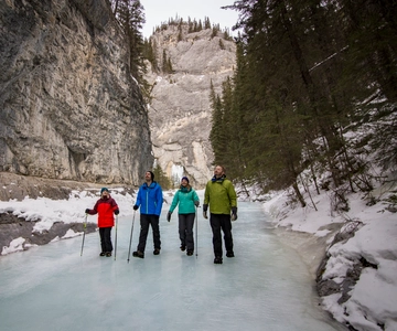 Banff: Grotto Canyon Icewalk