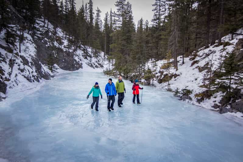 Banff: Grotto Canyon Icewalk | GetYourGuide