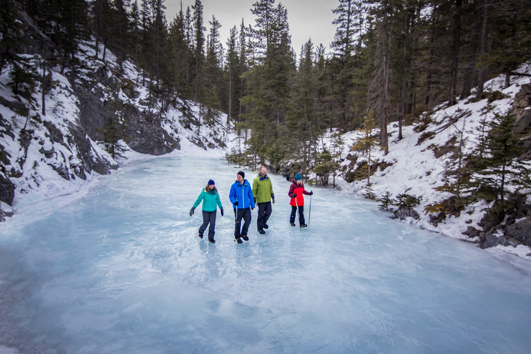 Banff: promenade sur glace dans le canyon de la grotte