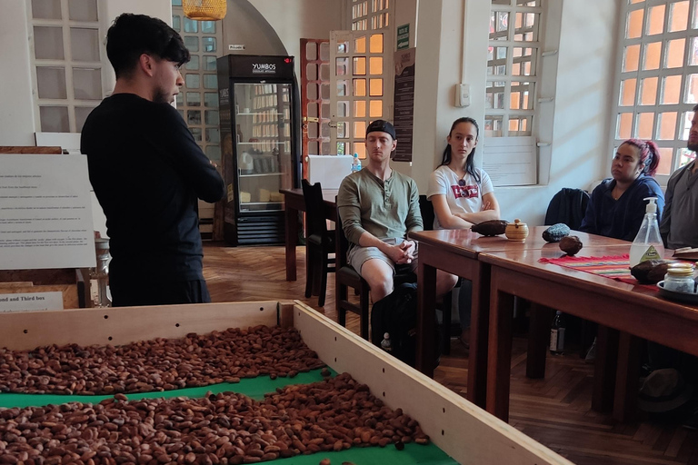 Colonial Quito: A Walking Tour Through History Seen Through Women Colonial Quito: A Women's History Walking Tour