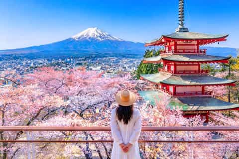 Mt. Fuji 5th Station, Hot Spring, and Oshino Hakkai Day Tour