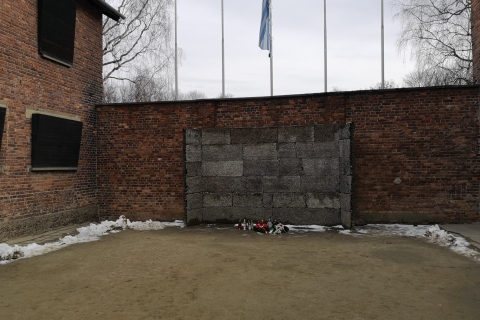 Ab Krakau: Auschwitz-Birkenau und Salzbergwerk Wieliczka-TourGruppentour auf Englisch