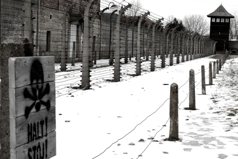 Desde Cracovia: Excursión a Auschwitz-Birkenau y las Minas de Sal de WieliczkaExcursión en grupo en inglés