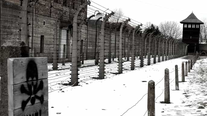 auschwitzbirkenau e miniera di wieliczka tour da cracovia