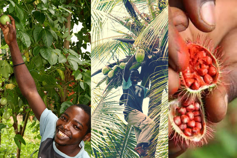 Zanzibar: The Swahili Spice Experience – wycieczka po przyprawach + kulinarna podróż"The Swahili Spice Experience" (z miejscem spotkania)