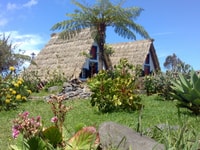 Von Funchal, Pico Areiro & A-gerahmte Häuser Tour - Hizvo